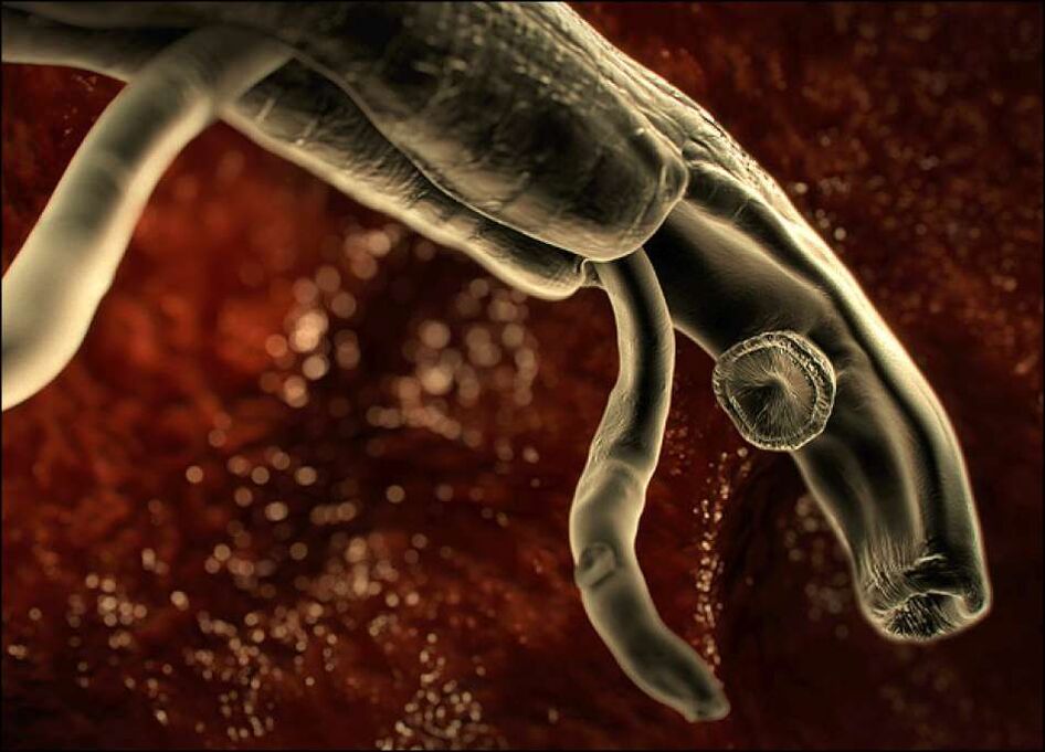 Parassiti nel corpo umano
