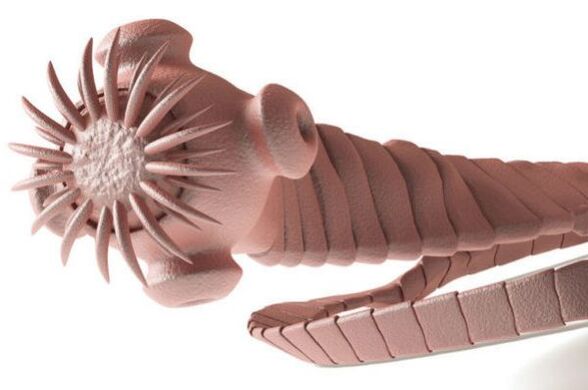 Parassita del corpo umano