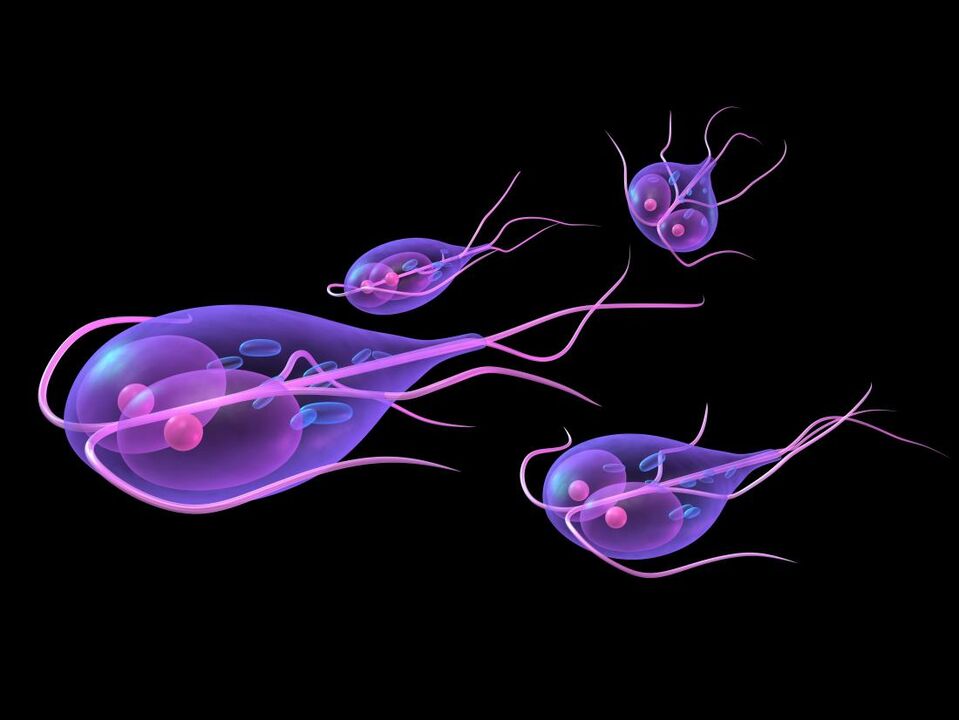 Giardia dal corpo umano